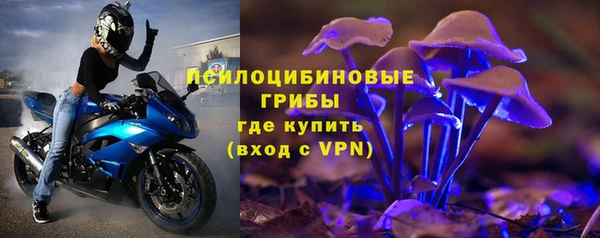 ALPHA PVP Верея