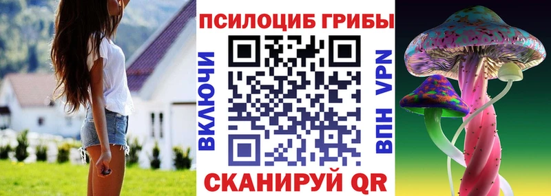 Псилоцибиновые грибы Cubensis  что такое наркотик  Комсомольск-на-Амуре 